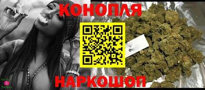 гидра Краснокаменск