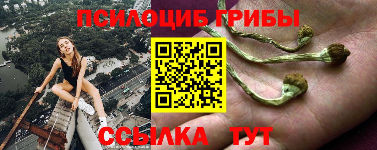 Каспийск  Псилоцибиновые грибы Psilocybine cubensis  Вход с VPN 